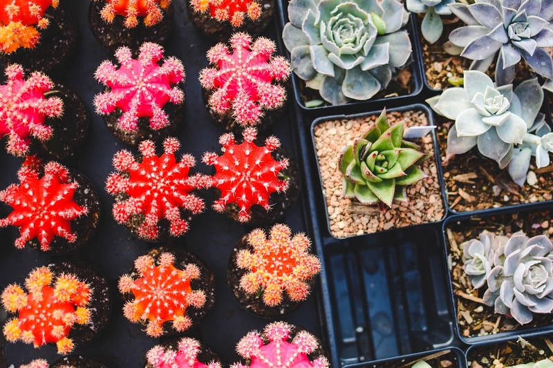 Repurposed Containers